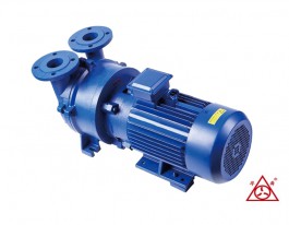 F2BV系列耐腐蝕液環式真空泵